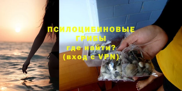 apvp Нягань