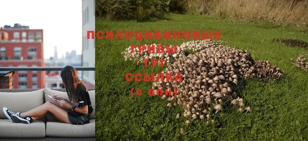 apvp Нягань
