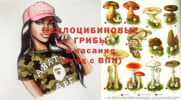 apvp Нягань