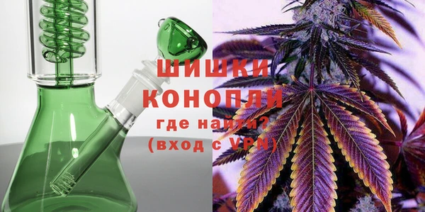 PSILOCYBIN Белая Холуница