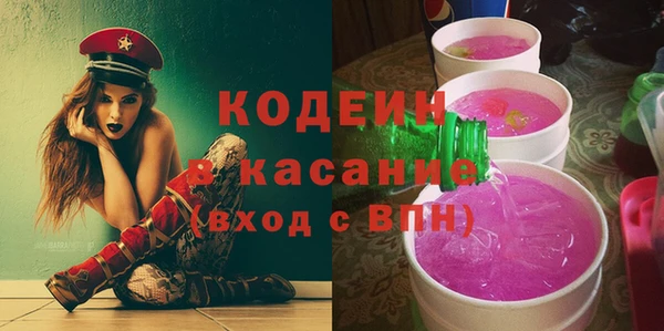 индика Новозыбков