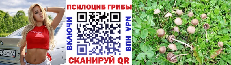 Псилоцибиновые грибы мухоморы  mega как зайти  Ядрин  купить наркоту 