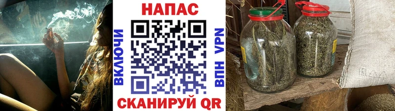 Бошки Шишки Amnesia где купить наркоту Ядрин